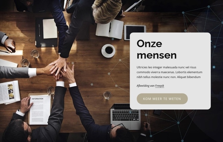 Uitvoerend team Website mockup