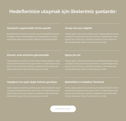 Dinamik Bir Dünya Için Küresel Iş Danışmanlığı - Ücretsiz WordPress Teması