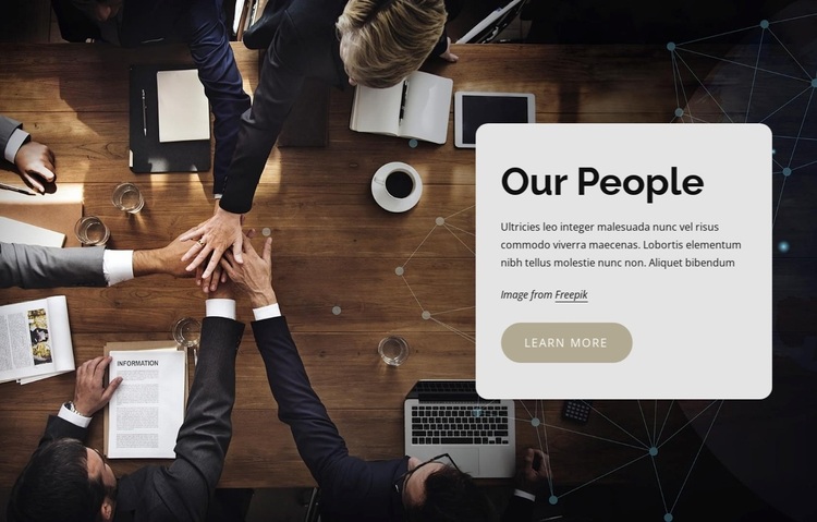 Executive team Website Design