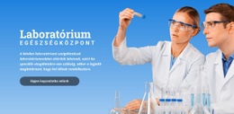 Laboratóriumi Orvosi Központ – Reszponzív Kialakítás