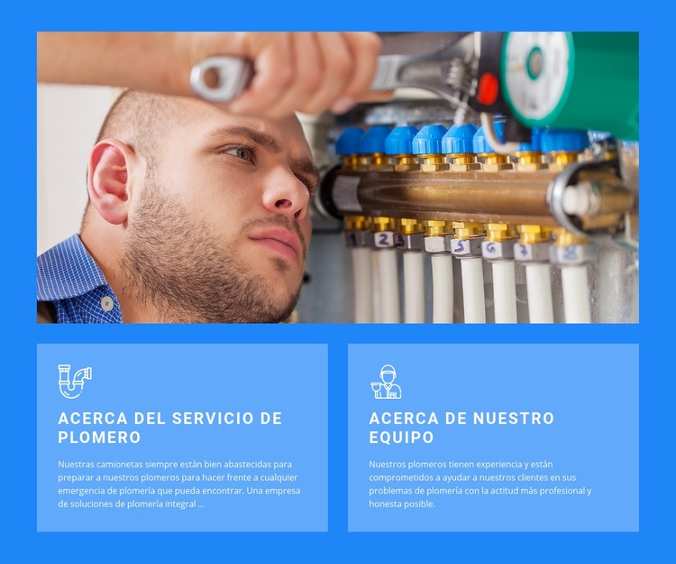 Reservar servicios de plomería Creador de sitios web HTML