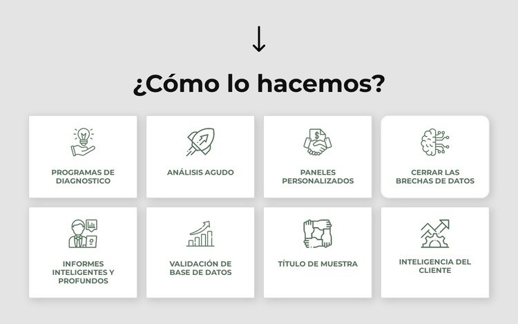 Estrategia, marketing, organización, operaciones. Creador de sitios web HTML