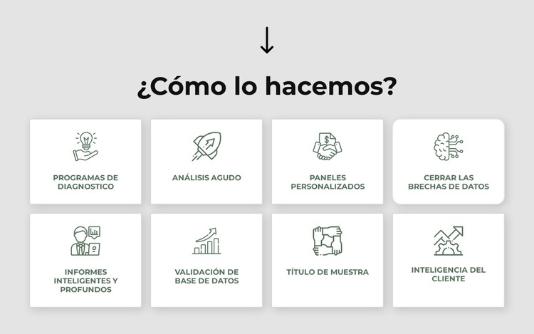 Estrategia, marketing, organización, operaciones. Tema de WordPress