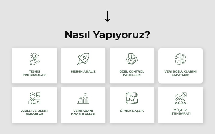 Strateji, pazarlama, organizasyon, operasyonlar Web Sitesi Şablonu