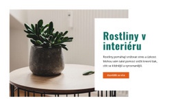 Čerstvější Vnitřní Vzduch – Bezplatná Šablona Webových Stránek