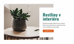 Čerstvější Vnitřní Vzduch – Šablona Vstupní Stránky