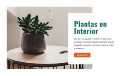 Aire Interior Más Fresco Plantilla Limpia Y Minimalista