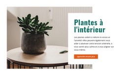 Superbe Conception De Site Web Pour Un Air Intérieur Plus Frais