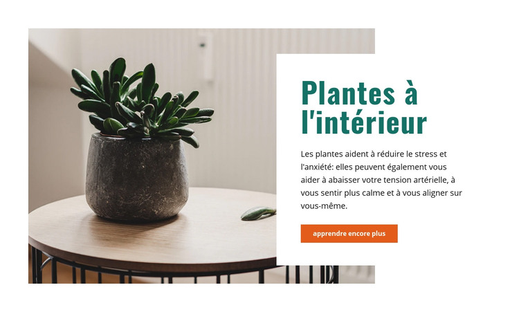 Un air intérieur plus frais Modèle HTML