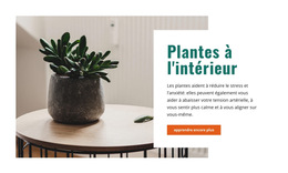 Un Air Intérieur Plus Frais - Modèle De Page De Destination