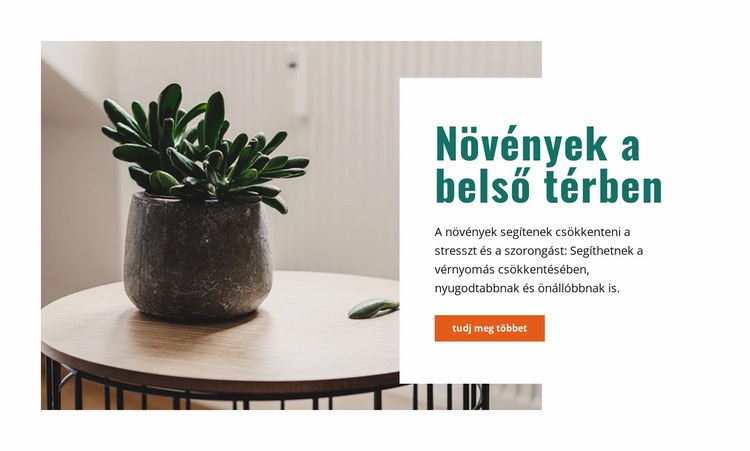 Friss beltéri levegő HTML Sablon