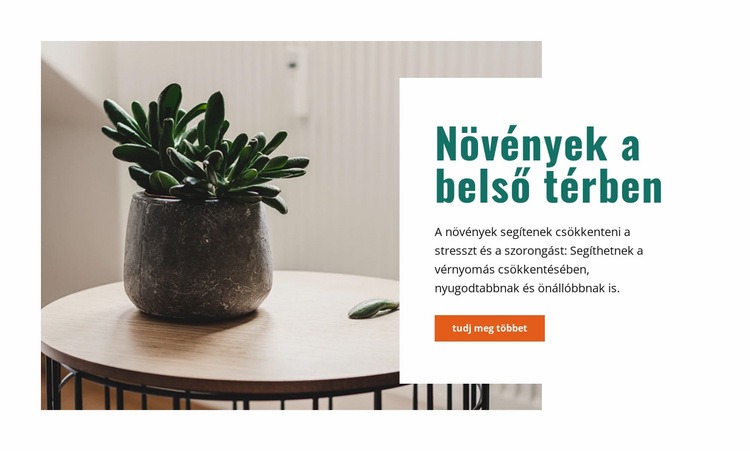 Friss beltéri levegő Weboldal sablon