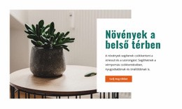 Friss Beltéri Levegő – Testreszabható Professzionális WordPress Téma