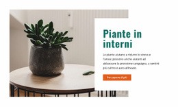 Aria Interna Più Fresca - Modello Multiuso Creatività