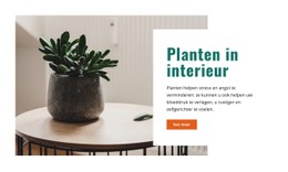 Frissere Binnenlucht Strak En Minimalistisch Sjabloon