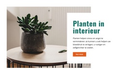 Frissere Binnenlucht - Creatieve Multifunctionele Sjabloon