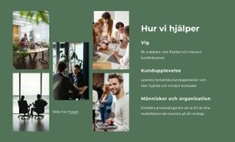 Från Enskilda Projekt Till Fleråriga Engagemang