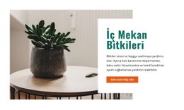 Daha Taze Iç Ortam Havası - En Iyi Tek Sayfalık Şablon