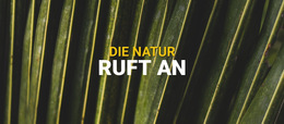 Fantastisches Website-Design Für Die Schönheit Der Blumen