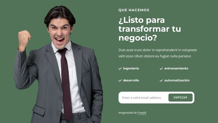 Resolvemos problemas empresariales complejos Plantilla CSS