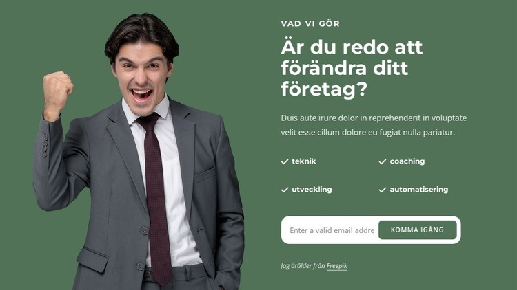 Vi löser komplexa affärsproblem CSS -mall