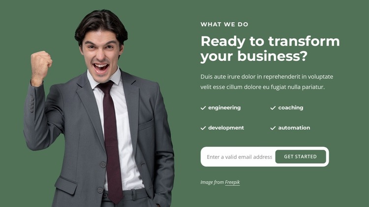 We solve complex business problems Website Mockup