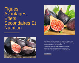 Avantages Potentiels Pour La Santé - Modèle HTML5 Réactif