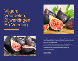 Mogelijke Gezondheidsvoordelen - Responsieve HTML5-Sjabloon