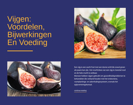 Mogelijke Gezondheidsvoordelen - Websitesjabloon Downloaden