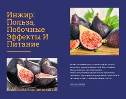 Возможная Польза Для Здоровья – Адаптивный Шаблон HTML5