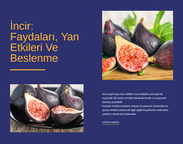 Potansiyel Sağlık Yararları - Kullanımı Kolay WordPress Teması