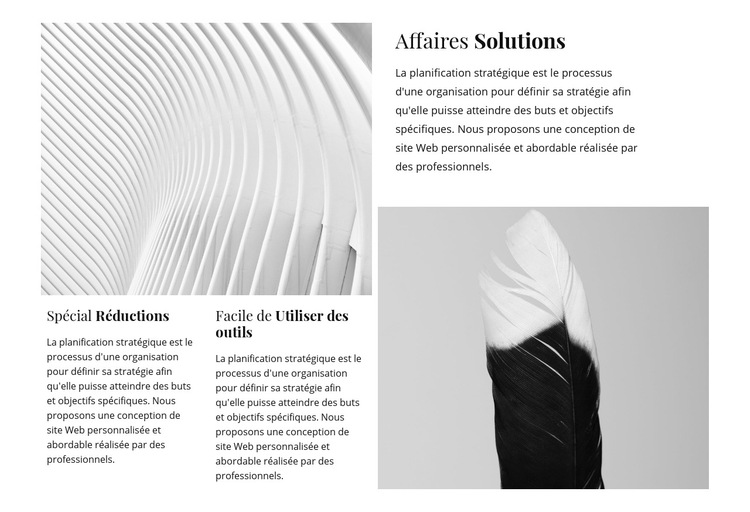 Des solutions d'affaires Modèle de site Web