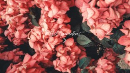 Paradise Garden CSS Template