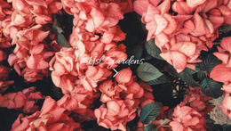 Paradise Garden - Create Web Page Mockup