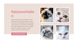 Haustierpflege Und Liebe - Responsive Website-Vorlagen