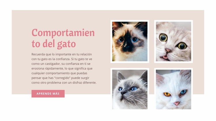 Cuidado y amor de mascotas Diseño de páginas web
