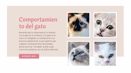 Cuidado Y Amor De Mascotas Plantilla HTML5