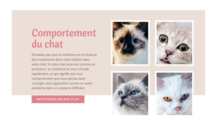 Soins et amour des animaux Modèles de constructeur de sites Web