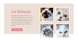Pet Care And Love - Simple Html Code