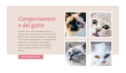 Cura E Amore Degli Animali Domestici Sito Web Gratuito