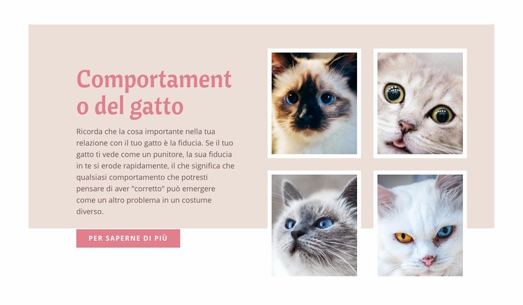 Cura e amore degli animali domestici Modello HTML5