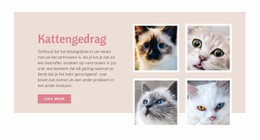 Zorg Voor Huisdieren En Liefde - Responsieve Websitesjablonen