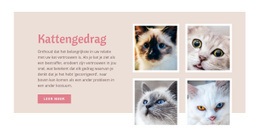 Zorg Voor Huisdieren En Liefde - Aanpasbare Professionele Websitebouwer