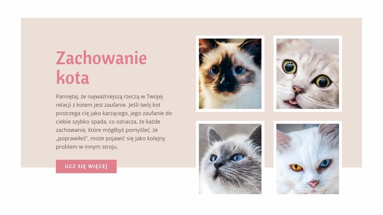 Opieka nad zwierzętami i miłość Szablon HTML5