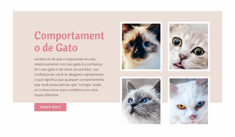 Cuidado e amor com animais de estimação Modelo HTML5