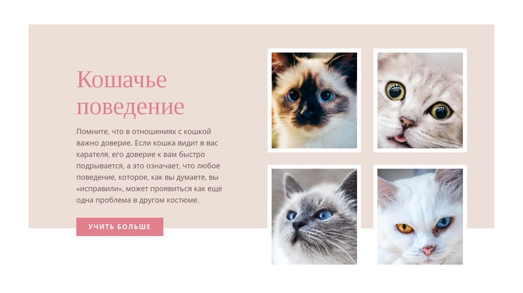 Уход за домашними животными и любовь Конструктор сайтов HTML