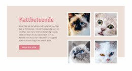 Husdjursvård Och Kärlek - HTML-Kodmall
