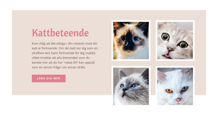 Husdjursvård och kärlek HTML-mall