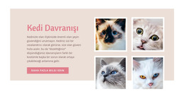 Evcil Hayvan Bakımı Ve Sevgisi - HTML Kod Şablonu