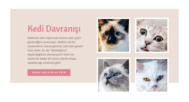 Evcil hayvan bakımı ve sevgisi Bir Sayfa Şablonu
